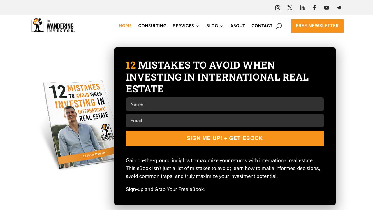 The Wandering Investor website